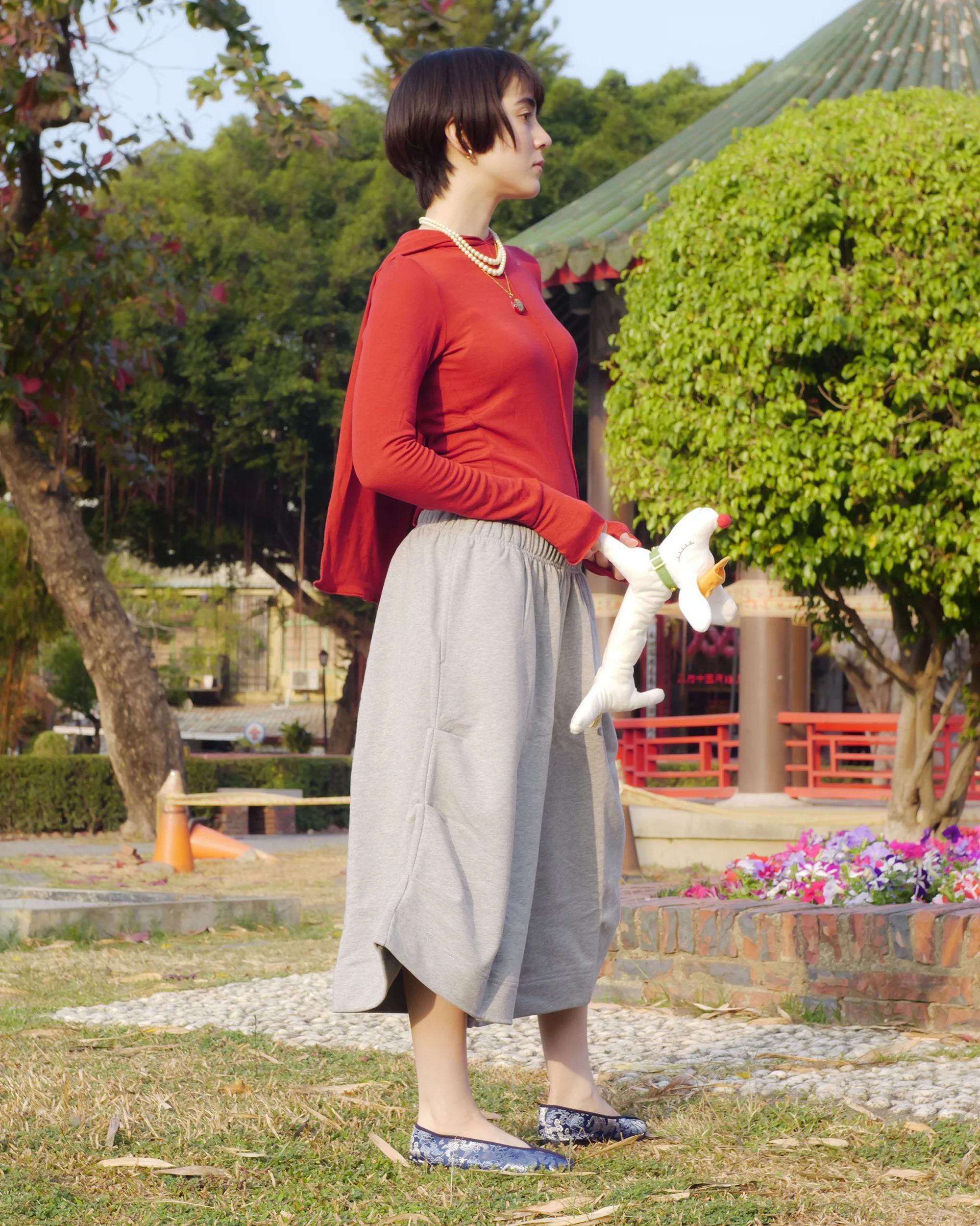 Astro Top in Sichuan - Image 6